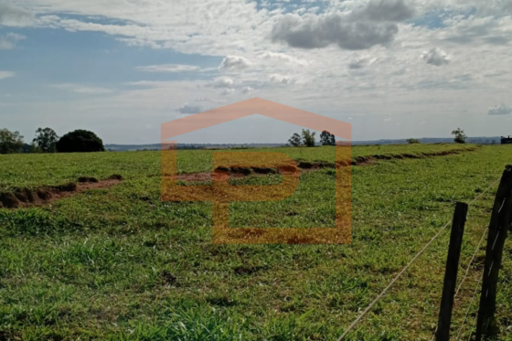 Chácara à venda - 20000.00m² - Zona Rural, Umuarama-PR