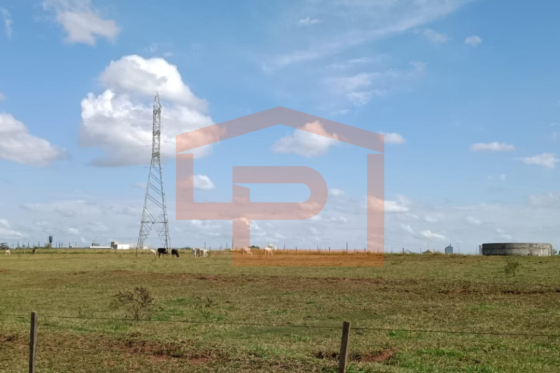 Chácara à venda - 20000.00m² - Zona Rural, Umuarama-PR
