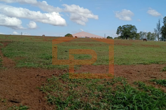 Chácara à venda - 20000.00m² - Zona Rural, Umuarama-PR