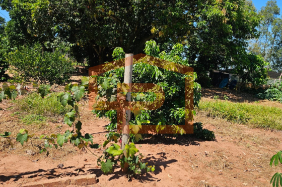 Chácara à venda - 21000.00m² - Zona Rural, Umuarama-PR