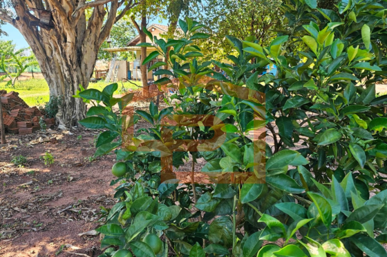 Chácara à venda - 21000.00m² - Zona Rural, Umuarama-PR