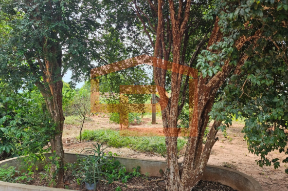 Chácara à venda - 21000.00m² - Zona Rural, Umuarama-PR