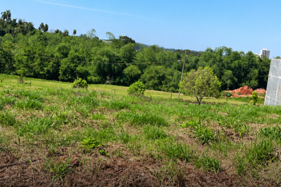 Terreno à venda - 300.00m² - Parque Residencial Monte Líbano, Umuarama-PR