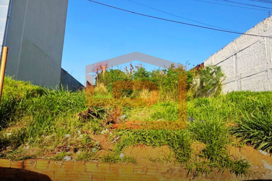 Terreno 1000m Ciudad Del Este-AP 143